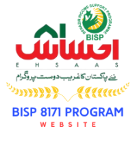 bisp8171program.com